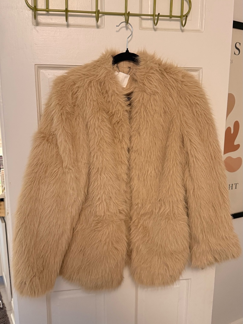 H&M Plush Teddy Jacket in Camel